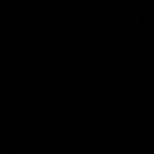 Custom colored extensions